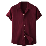 TAGDO Men’s Regular Fit Casual Shirt (5171)